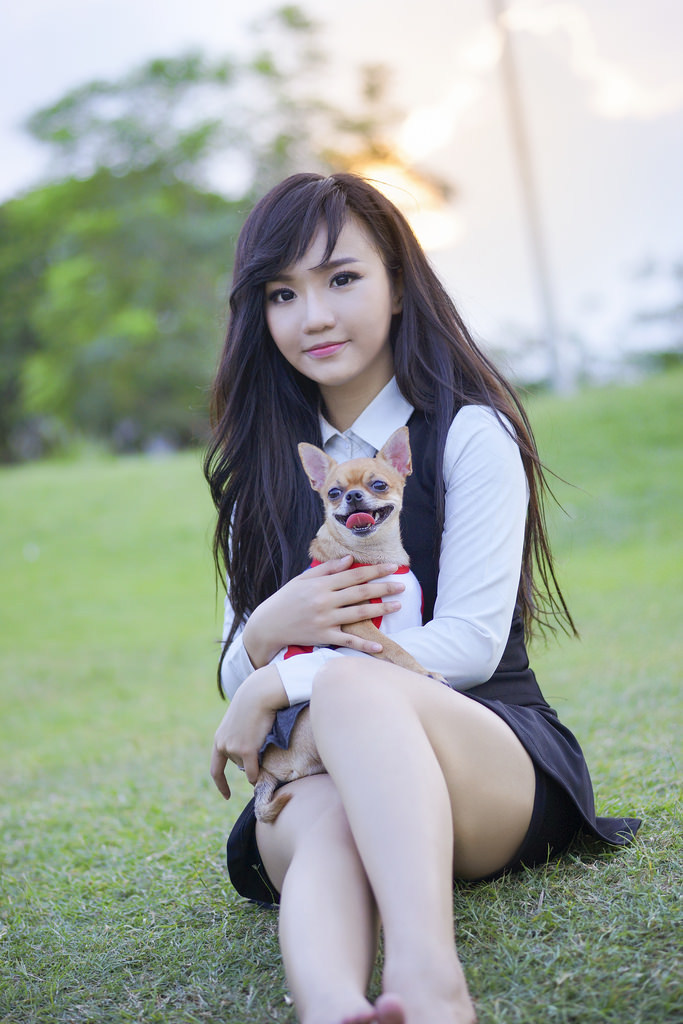 女婿难当
